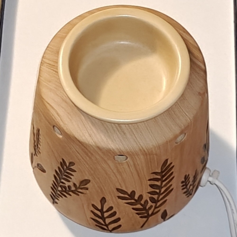 Electric Wax Warmer and Wax Melts